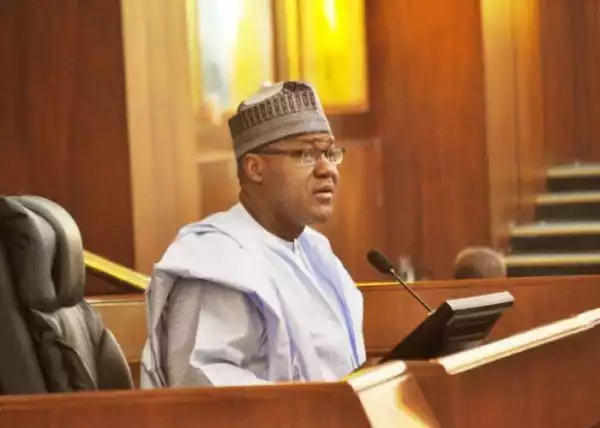 How A White Man Influenced Me To Study Law – Dogara Reveals (Read Full)